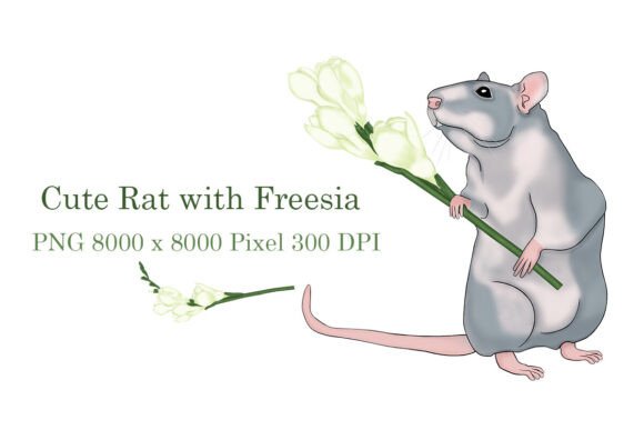 Download Cute Rat with Freesia - Rat Collection