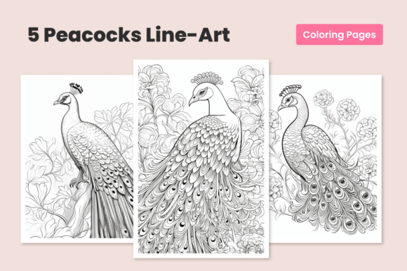 Download Peacock Bundle Coloring Pages for Adults - Pages Collection