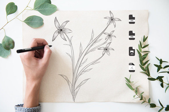 Download Botanical Black and White Coloring Pages - Pages Collection